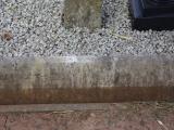 image of grave number 795125